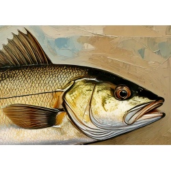 copy of Fish